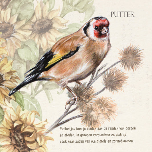 Square card - Goldfinch