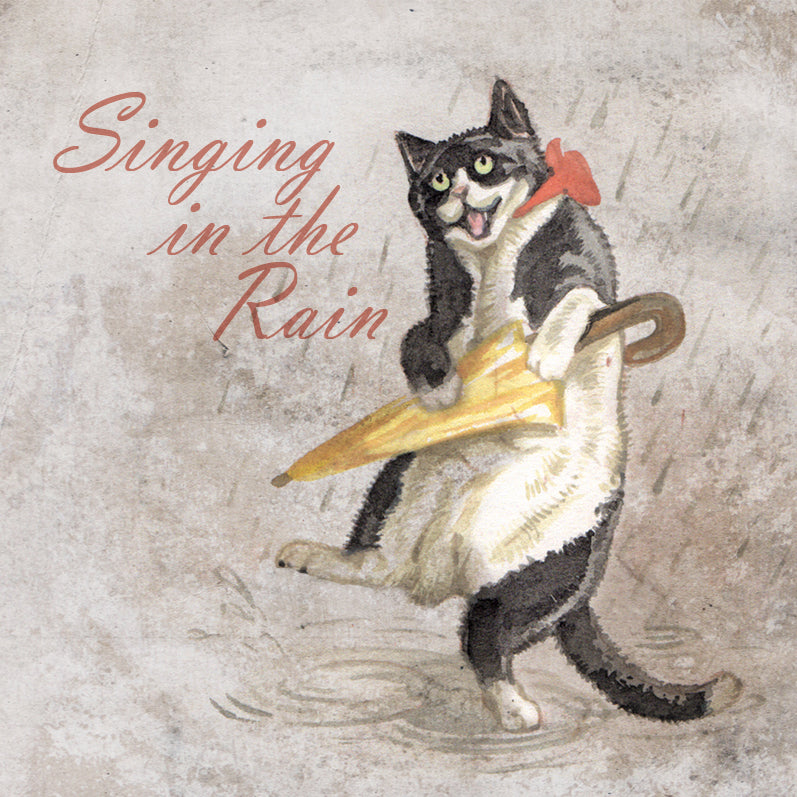 Vierkante kaart - Singing in the Rain (katten print)