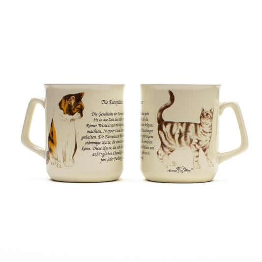 Mug European Shorthair cat