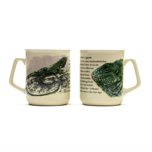 Mug Iguana