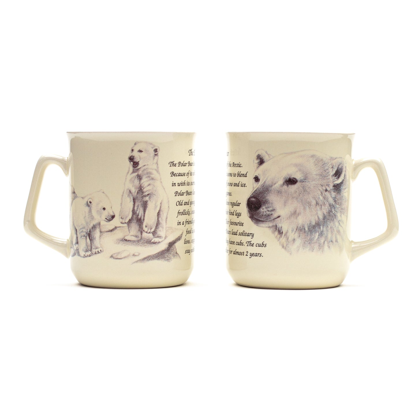 Mug Polar Bear