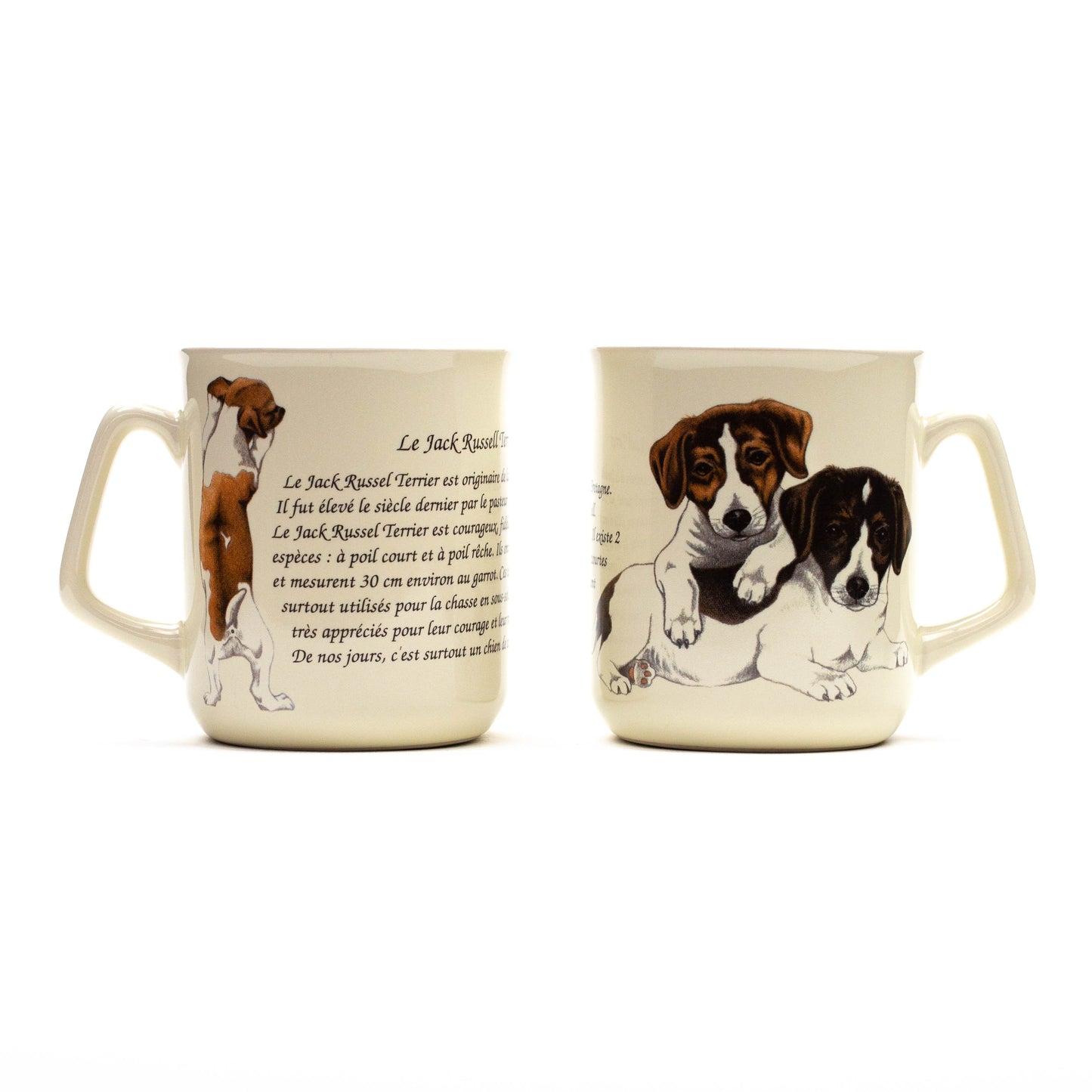 Mug Jack Russell Terrier