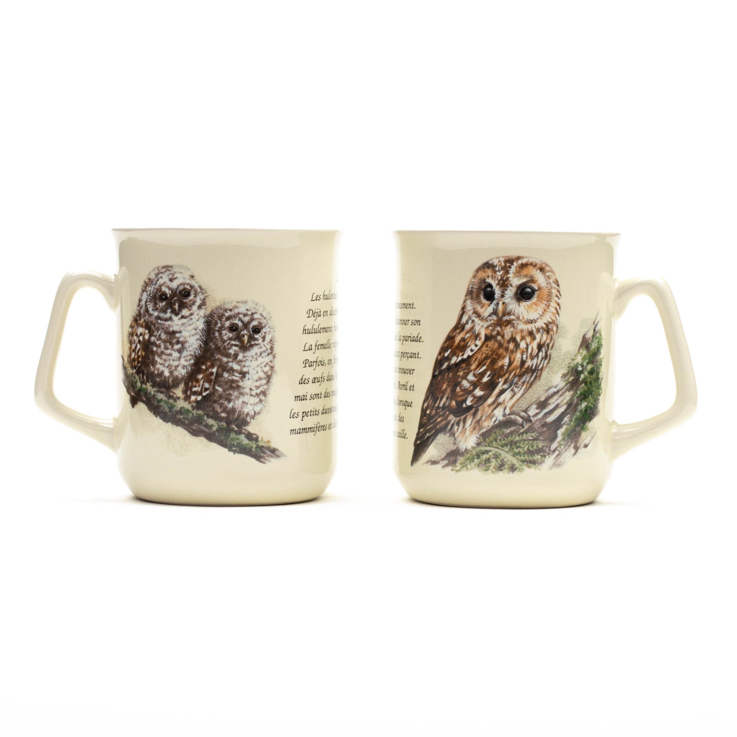Mug Tawny Owl