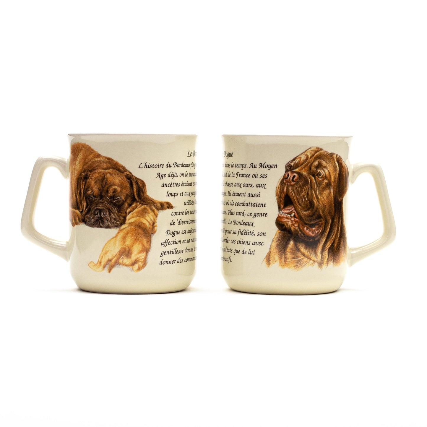 Tasse Bordeaux Dogge