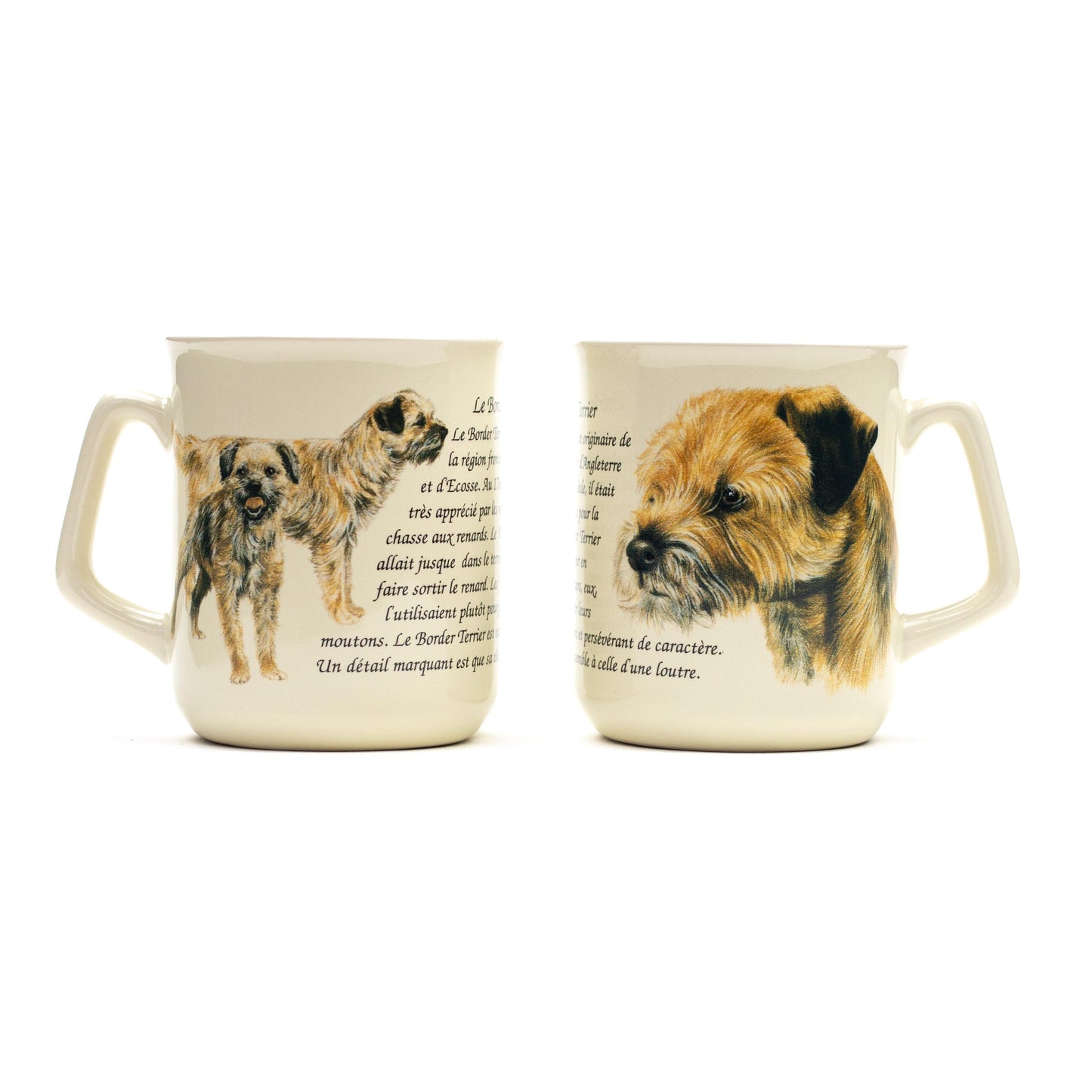 Mug Border Terrier