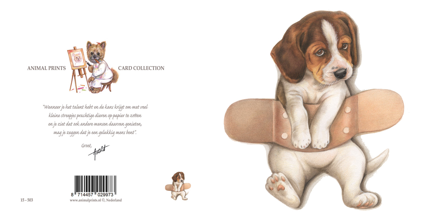 Square card - Plaster on Beagle - Get well soon