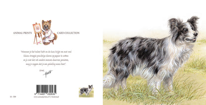 Square card - A beautiful Border Collie, blue Merle