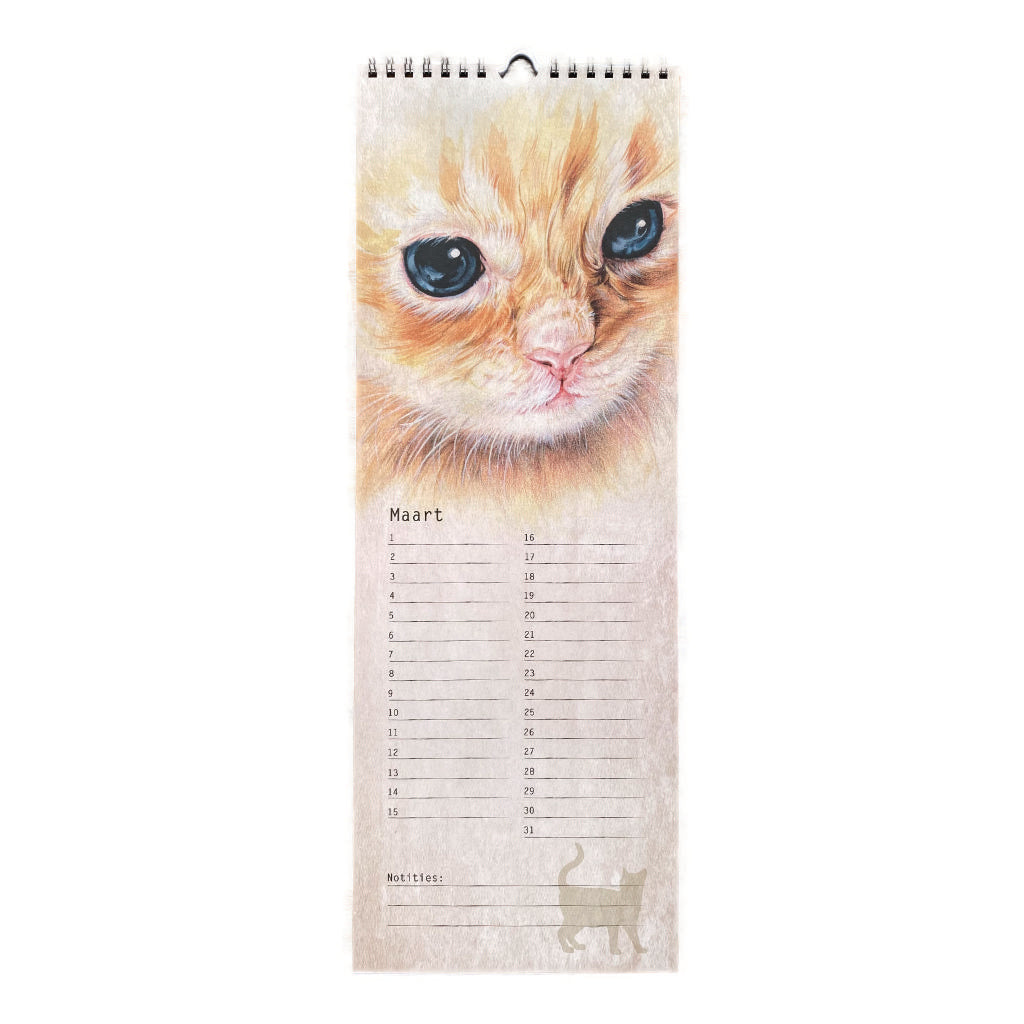 Birthday Calendar Cat