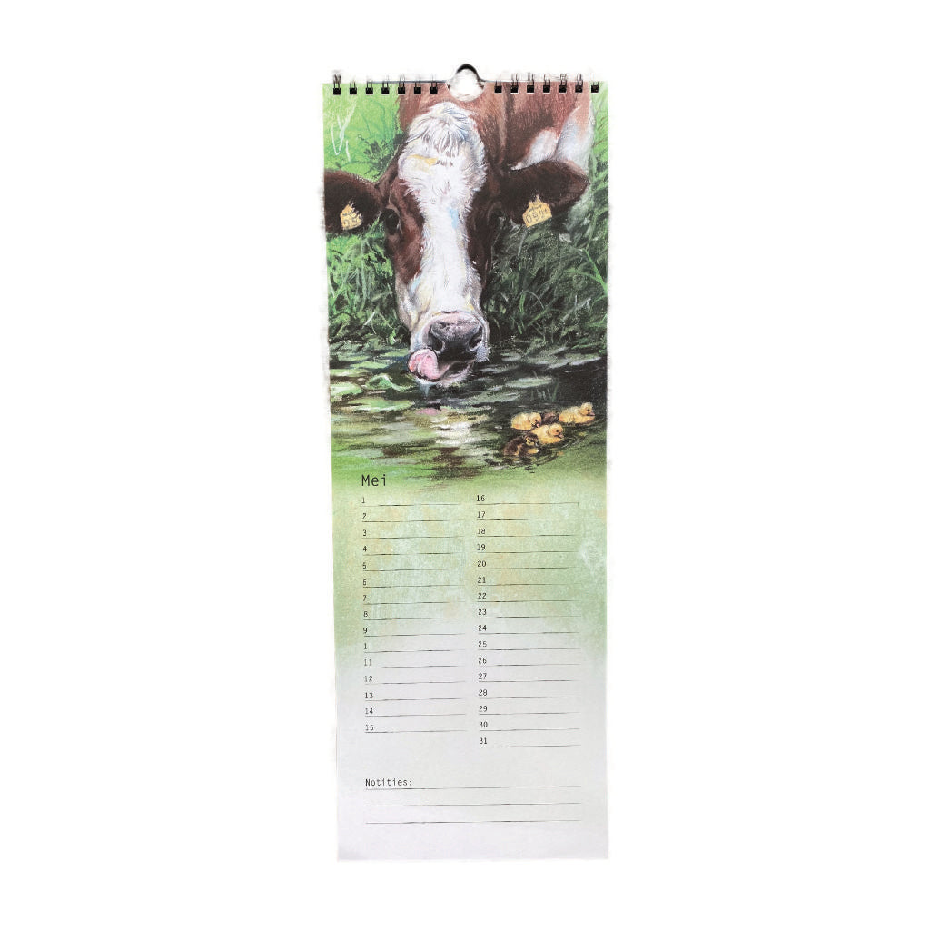 Birthday Calendar Cow