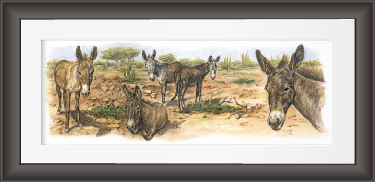 Reproduction "Donkeys on Bonaire".