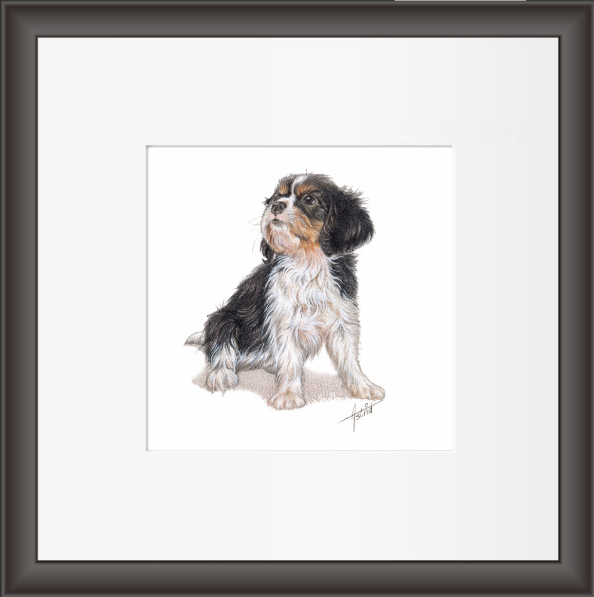 Reproduktion "Cavalier King Charles Terrier".